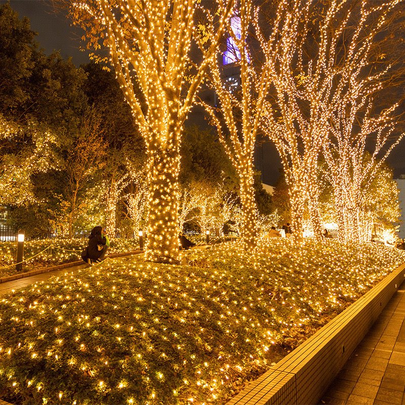 Buiten LED Kerstverlichting - Koppelbare Sfeerverlichting voor Bomen en Tuin